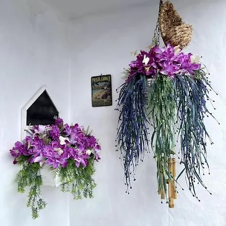 Apartment Casita Mara! 2' Line To The Sea, Shops And Bar's *